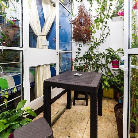 Casa Itzae B&B Polanquito Dog Friendly Mexico City Ngoại thất bức ảnh