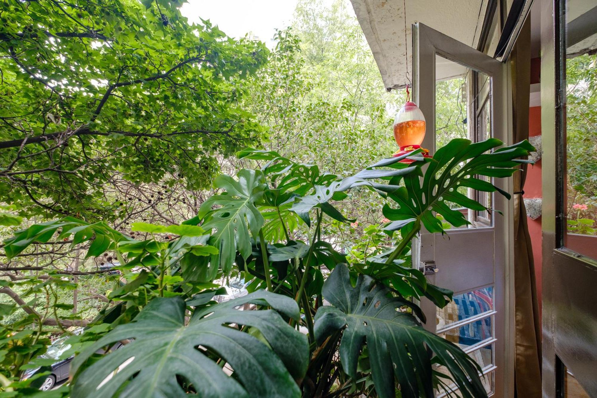 Casa Itzae B&B Polanquito Dog Friendly Mexico City Ngoại thất bức ảnh