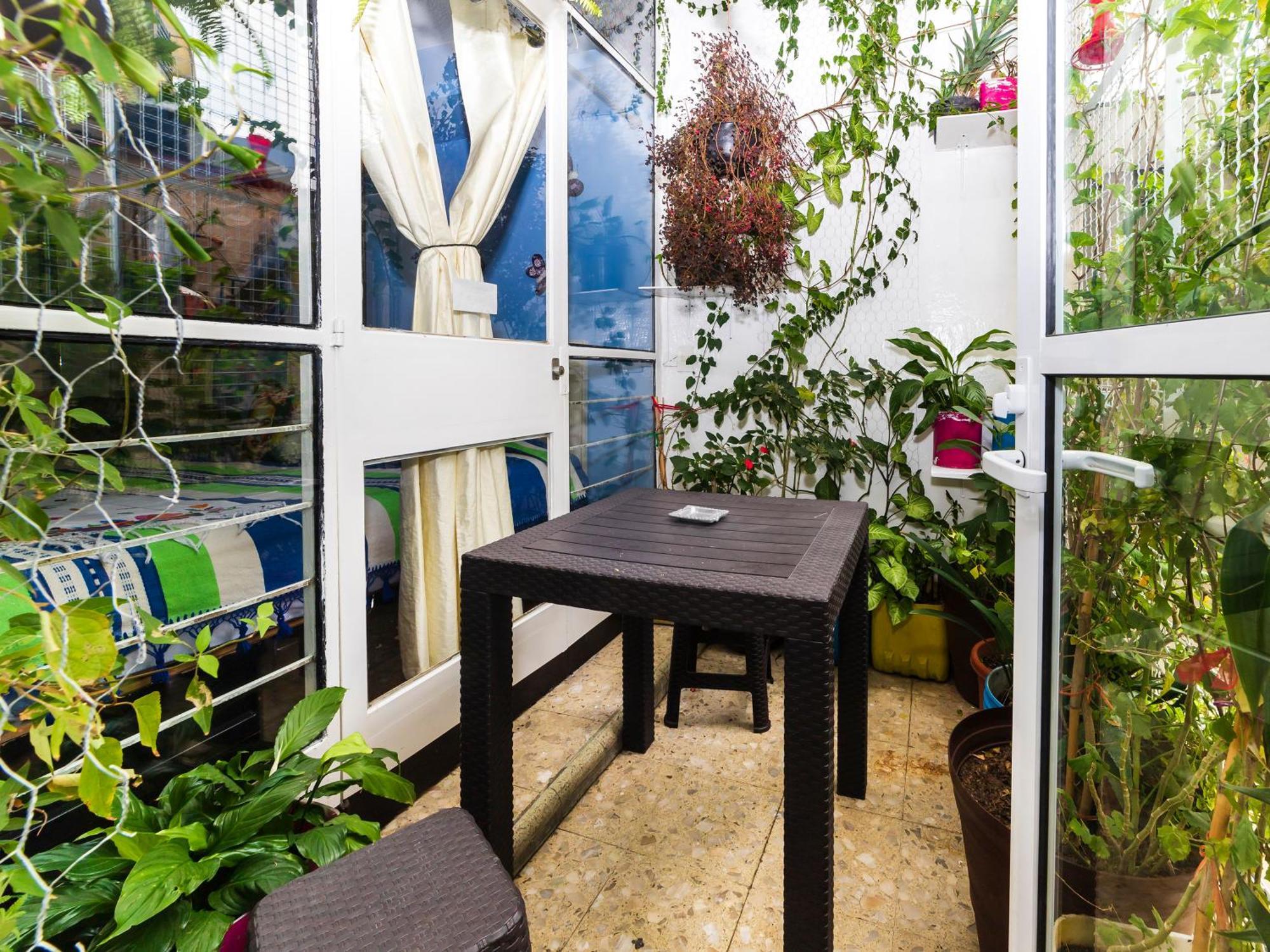 Casa Itzae B&B Polanquito Dog Friendly Mexico City Ngoại thất bức ảnh