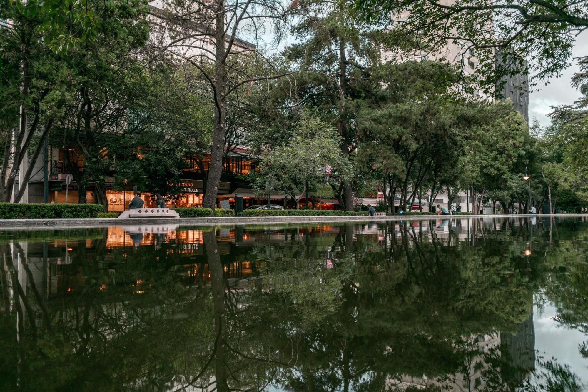 Casa Itzae B&B Polanquito Dog Friendly Mexico City Ngoại thất bức ảnh