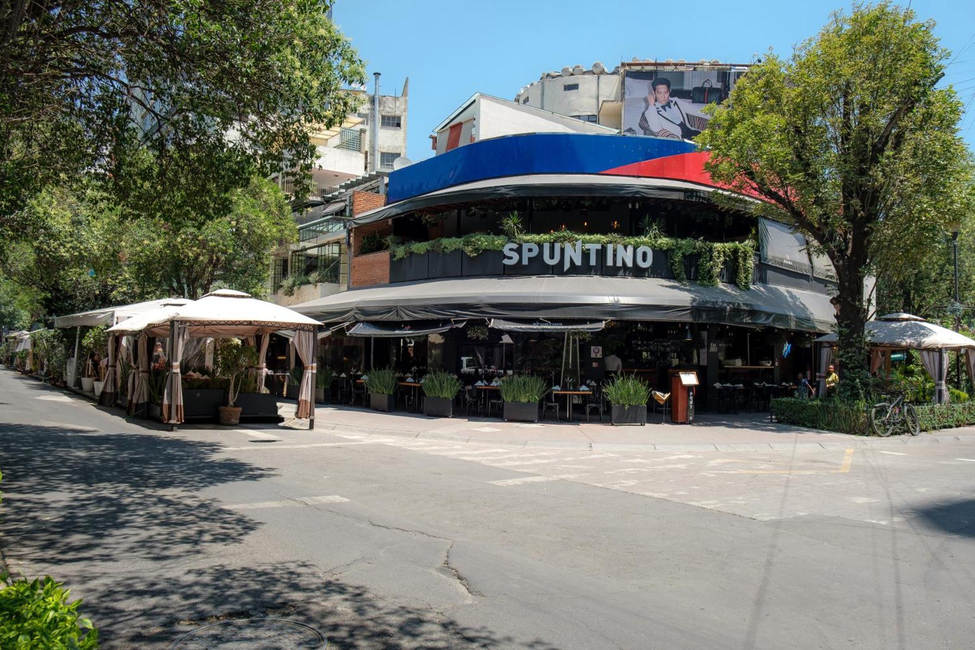 Casa Itzae B&B Polanquito Dog Friendly Mexico City Ngoại thất bức ảnh