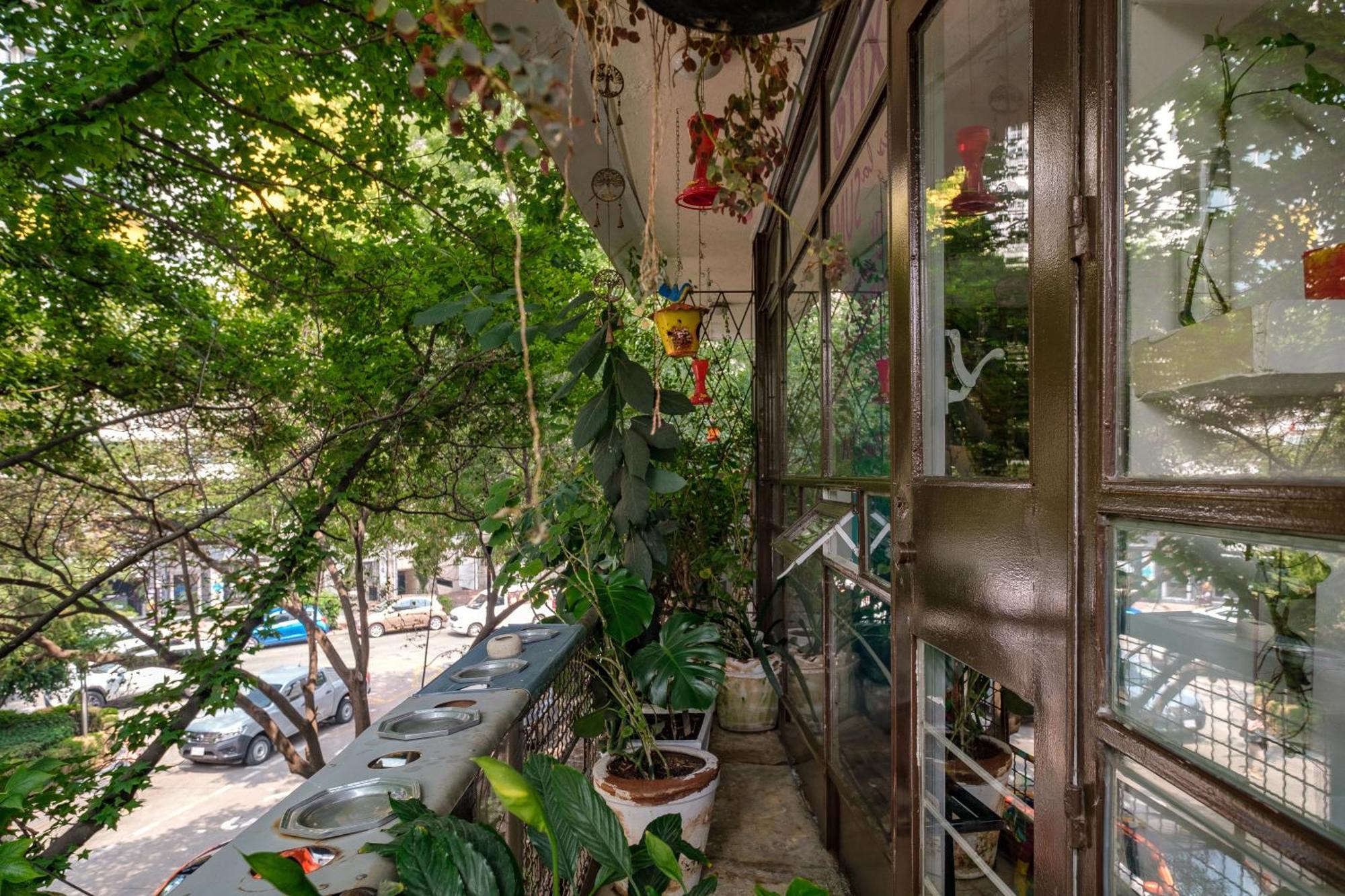 Casa Itzae B&B Polanquito Dog Friendly Mexico City Ngoại thất bức ảnh