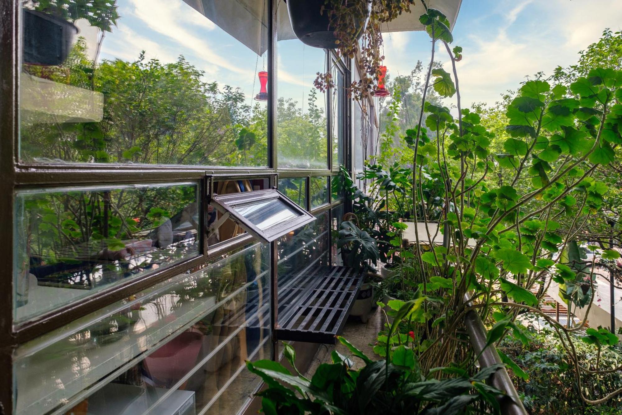 Casa Itzae B&B Polanquito Dog Friendly Mexico City Ngoại thất bức ảnh