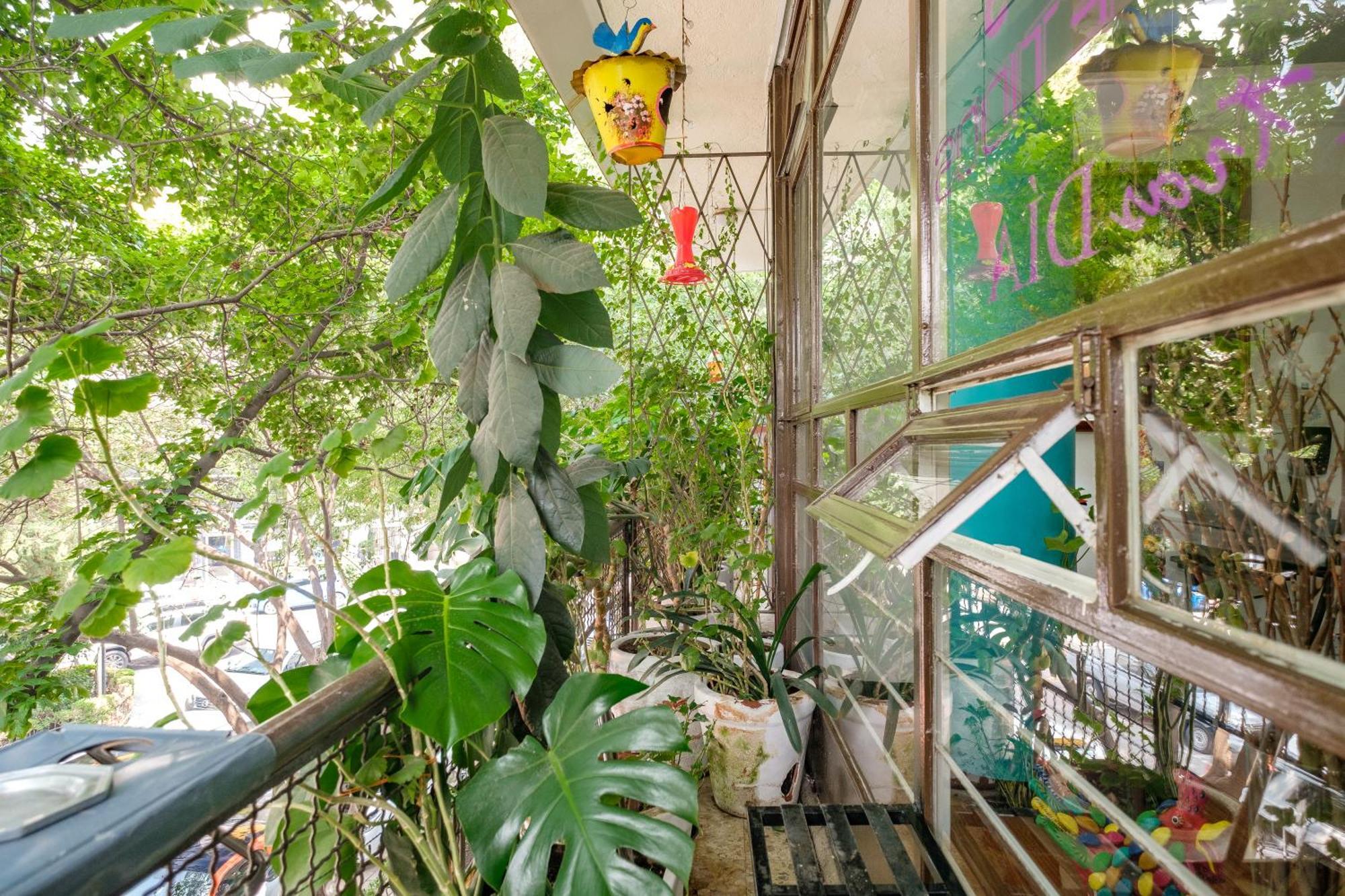 Casa Itzae B&B Polanquito Dog Friendly Mexico City Ngoại thất bức ảnh