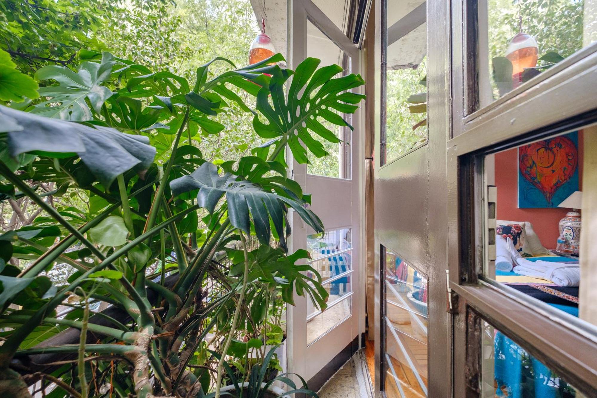 Casa Itzae B&B Polanquito Dog Friendly Mexico City Ngoại thất bức ảnh
